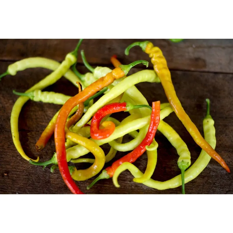 Corbaci Pepper (Heirloom 75 Days)