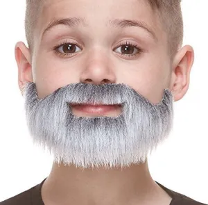 Gray & White Mustache with Short Boxed Beard