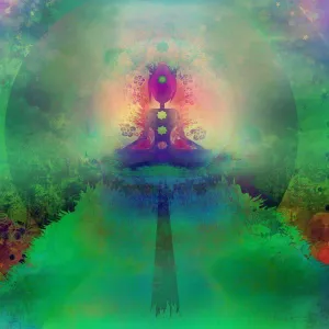 Meditation FO/EO Blend