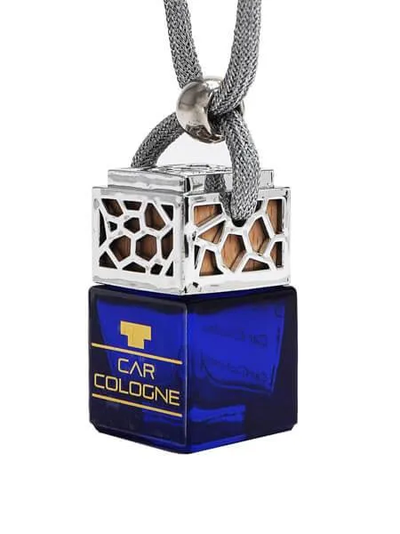 Silver Mountain Car Diffuser