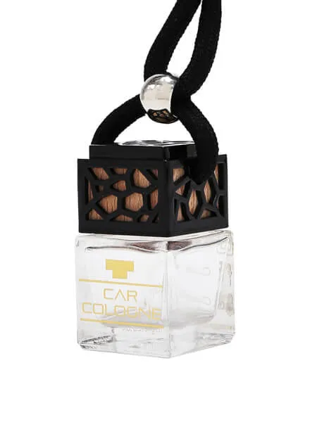 Silver Mountain Car Diffuser