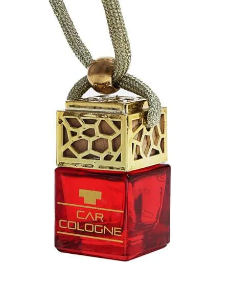Silver Mountain Car Diffuser