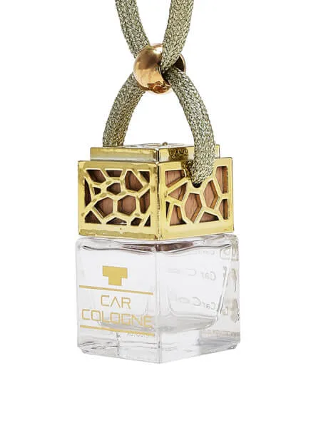 Silver Mountain Car Diffuser