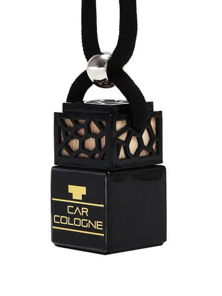 Silver Mountain Car Diffuser