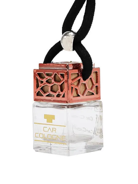 Silver Mountain Car Diffuser